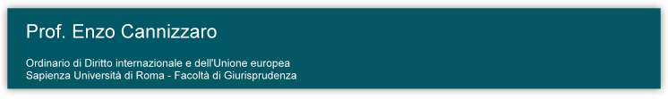 Prof. Enzo Cannizzaro